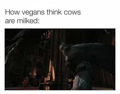 They think cows are into BDSM