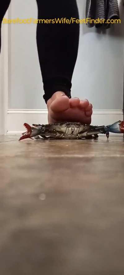 Barefoot crab crush.  