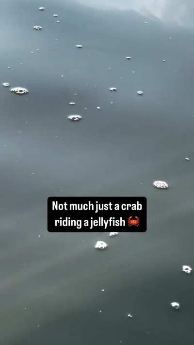 AquaticAsFuck