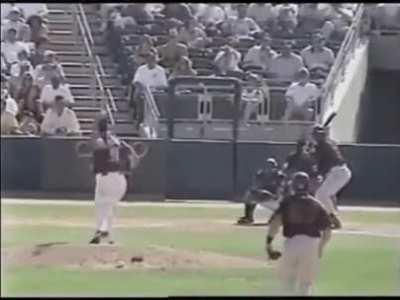 Baseball pitcher Randy Johnson accidentally hits and kills bird with baseball