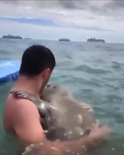 🔥 Seal approaches a human and hugs him