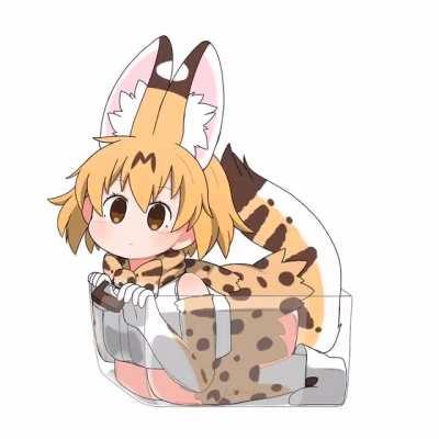 Serval Cat Fits and Sits in Your Clear Plastic Bin