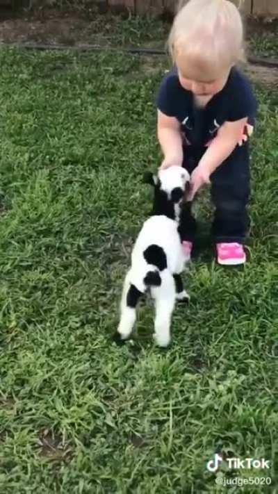 Cute Baby Goat!