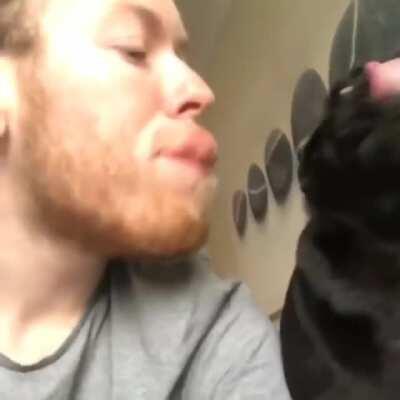 Licking your dog back