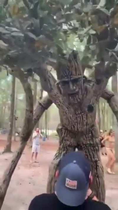 This tree costume looks amazing!!