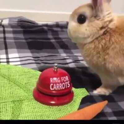 Bunny broke the button