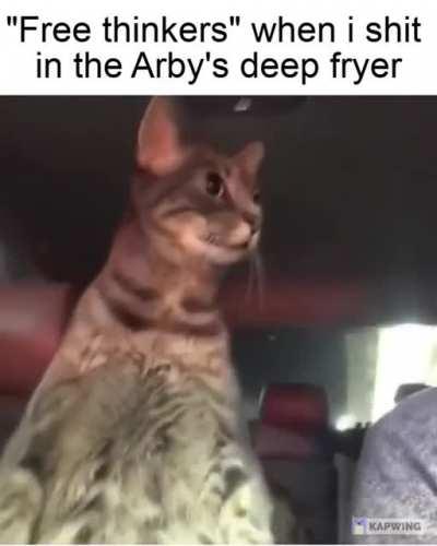 my cat using the arby's deep fryer as a litter box (he has dementia)