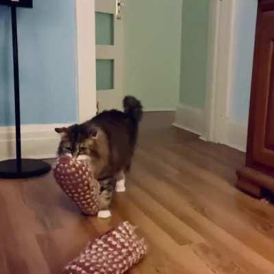 Our Floof Fran brings us slippers when it’s cold.