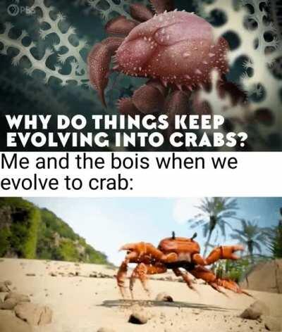 it's crab rave time