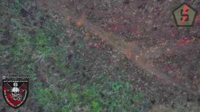 Drones of the 5th assault brigade destroy the invaders. Bakhmut direction.