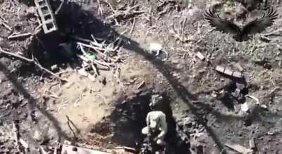 Russian soldier is hit with Ukrainian drone dropped grenade through wreckage of destroyed Russian tank