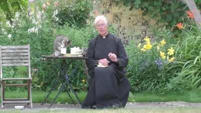 Tiger, one of the Canterbury Cathedral's four resident cats, stole the show during the Canterbury Cathedral's morning prayers by helping himself to milk set out for the Dean.