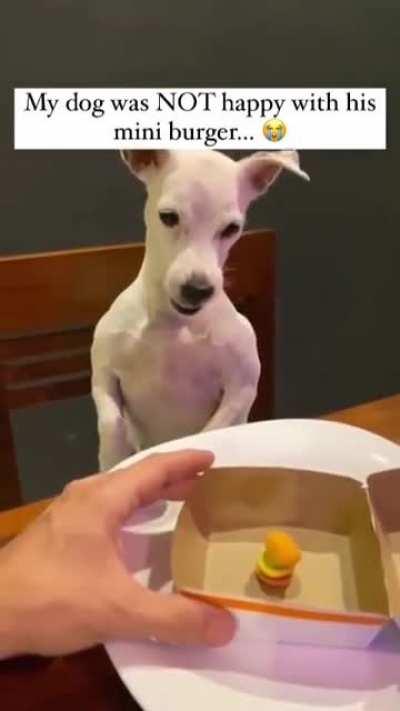 This Dog is very upset: The Un-Value Meal🤣