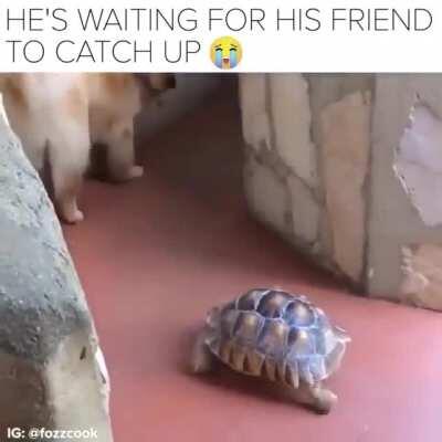 Waiting for his friend to catch up