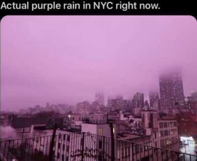 Song is purple rain by prince