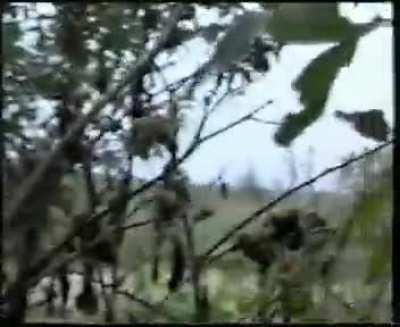 Russian BPM packed with soldiers getting blown up close range in Chechnya