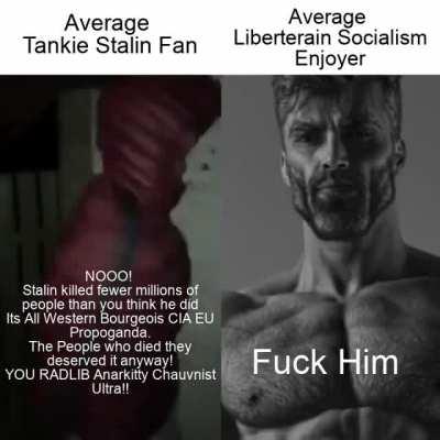 Average Tankie Fan vs Average Libertarian Socialism Enjoyer