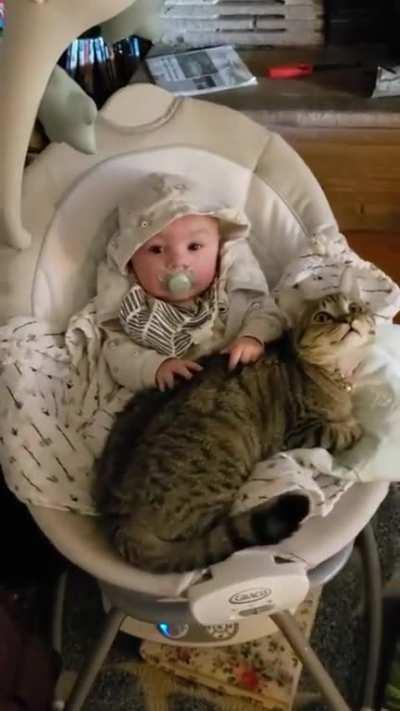 Baby making biscuits on a cat