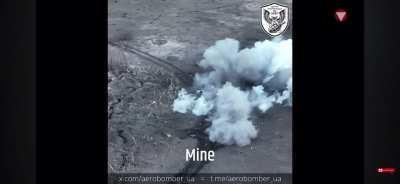 Ukrainian Column Decimated by Russian Mines, Artillery, Cannon Fire, and Drones