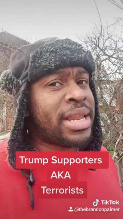 Trump Supporters AKA Terrorists