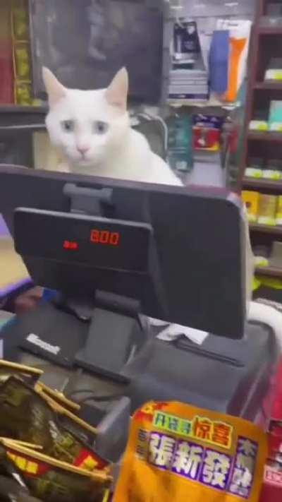 Cashier