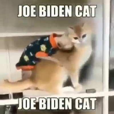 joe bidne a furry??? 😱😱😱😱