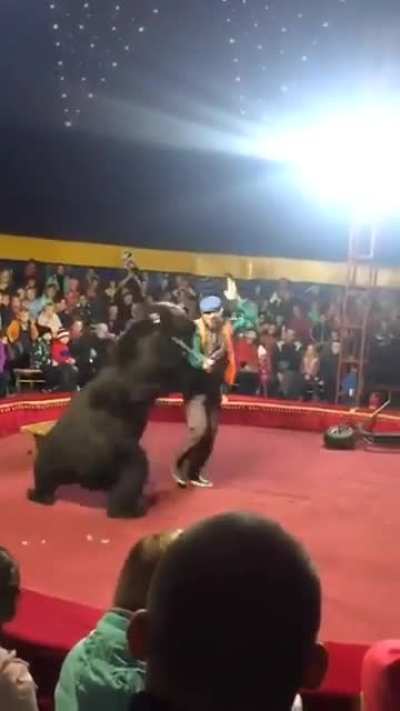 Bear attacks handler during performance