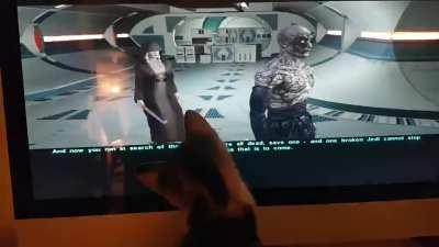 My kitty being fascinated by kotor 2