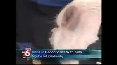 Chris P Bacon