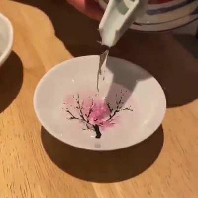 The hand-crafted cherry-tree bowl in Japan blooms when hot water is filled