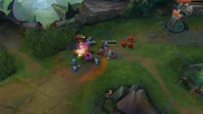 AP gnar in a nutshell (irony)