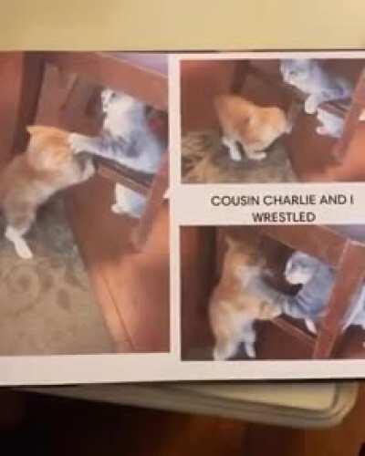 That time I left my cat at my parents house and they made a book...