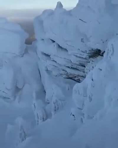 🔥 Snow in the wild looks so wonderful.