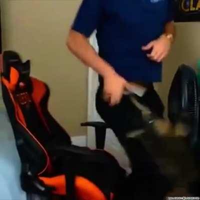 WCGW holding your angry cat on