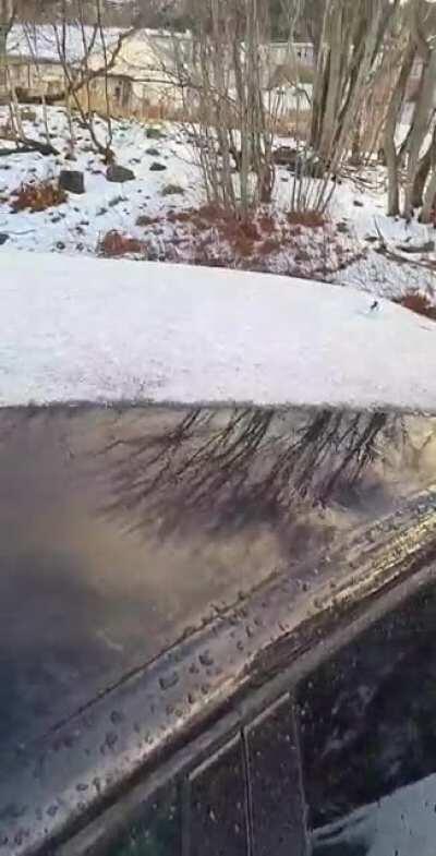 Ice on the roof of my car this morning in Aalesund, Norway.