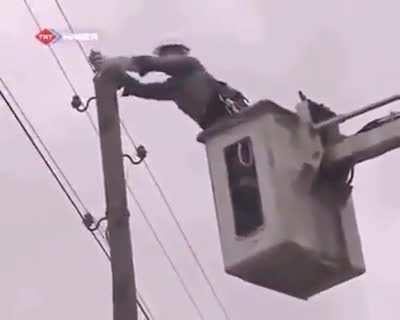 PiEcE oF sHiT tRaPs CaT oN tOp Of ElEcTrIcItY pOlE