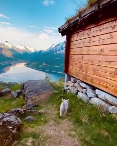 Evening walks in Norway