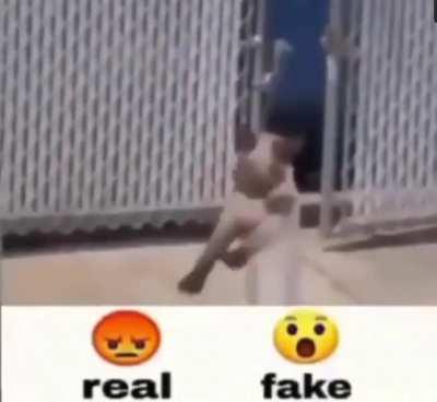 omg da caet dancing to gae lil nas x son🤔🤔🤣🤣😱😱