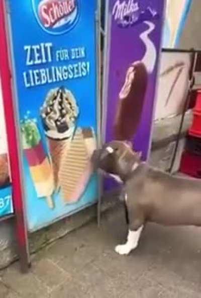 We all scream for ice cream