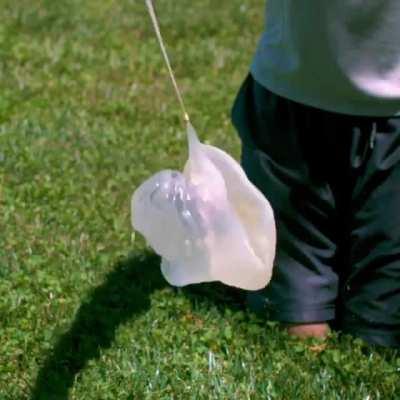 Baseball vs. Balloon