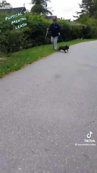 Dork refuses to put a leash on his dog.