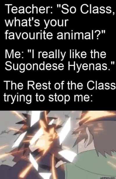 Ah Yes, The sugondese hyenas [OC]