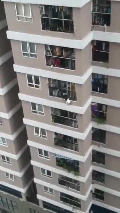 2-year-old child saved after falling from 12th floor of a building