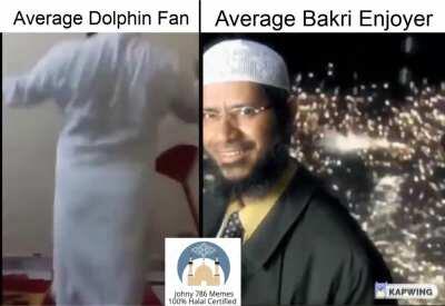 Average dolphin fan << Average bakri enjoyer