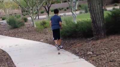 throwing a rock at a hive