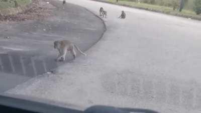 Noone told me you guys were holding a meeting after work! (This was at TPM Bukit Jalil)