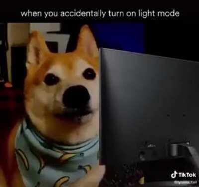 Accidentally turning on light mode