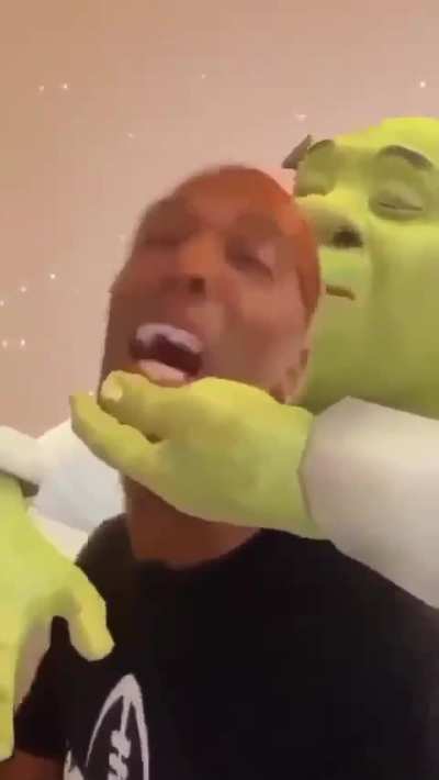 Losercity shrek