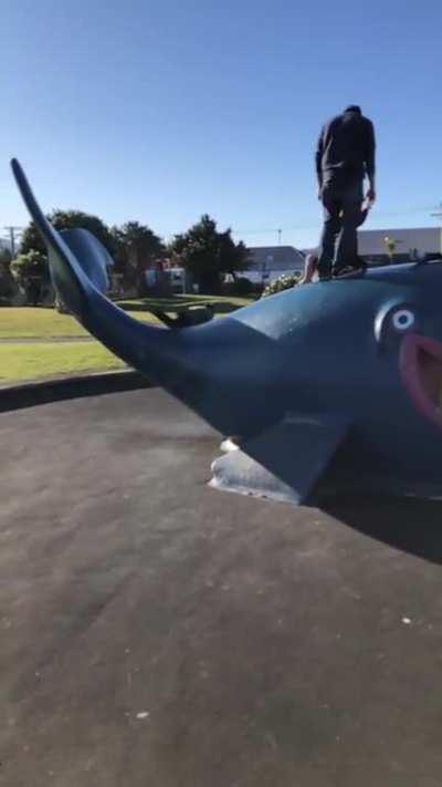 WCGW jumping on play equipment