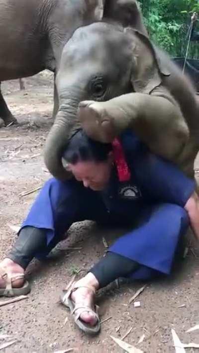 a baby elephant giving this man a hug!